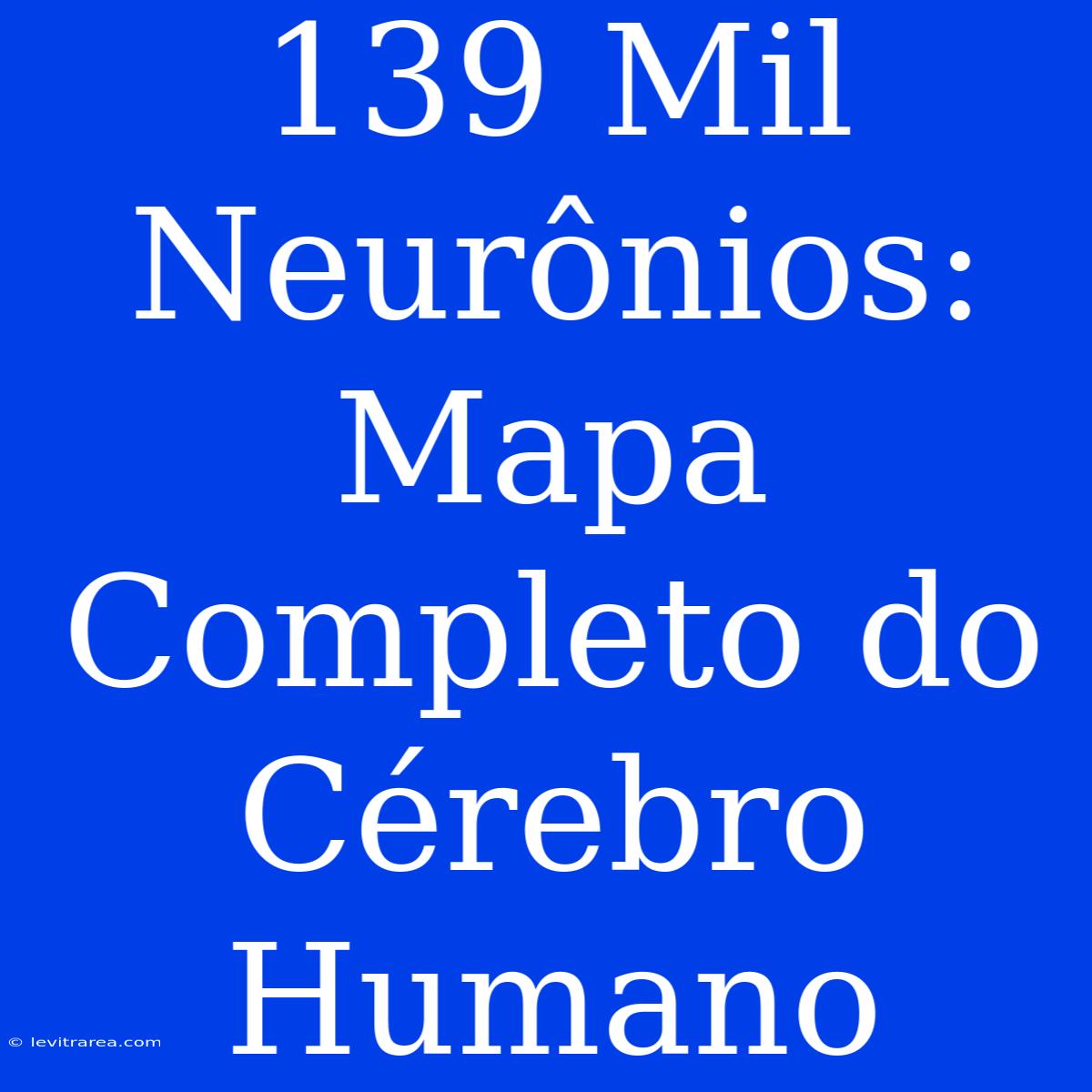 139 Mil Neurônios: Mapa Completo Do Cérebro Humano