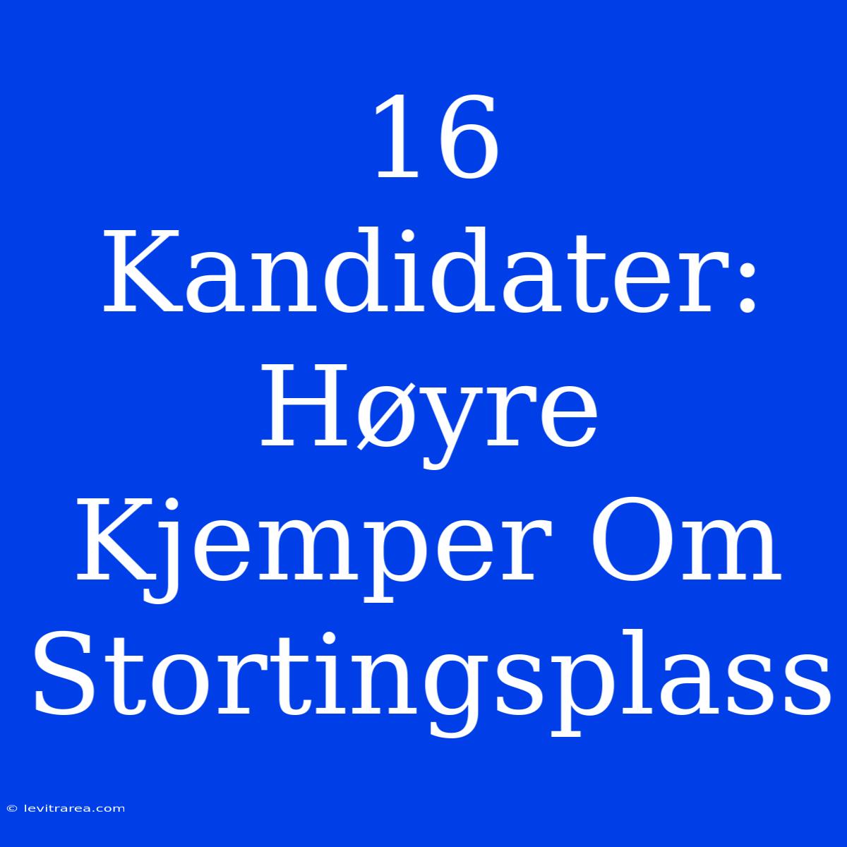 16 Kandidater: Høyre Kjemper Om Stortingsplass