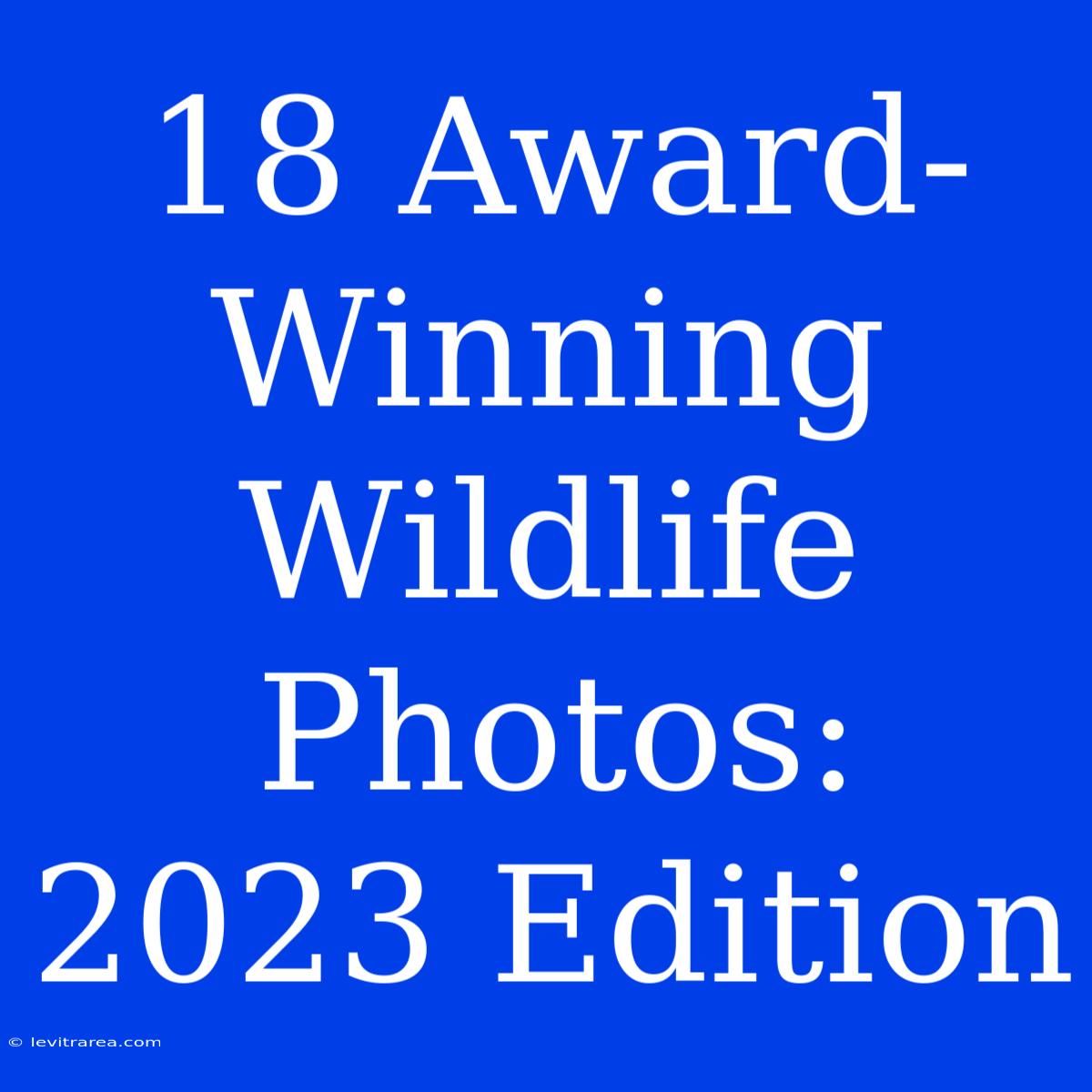 18 Award-Winning Wildlife Photos: 2023 Edition