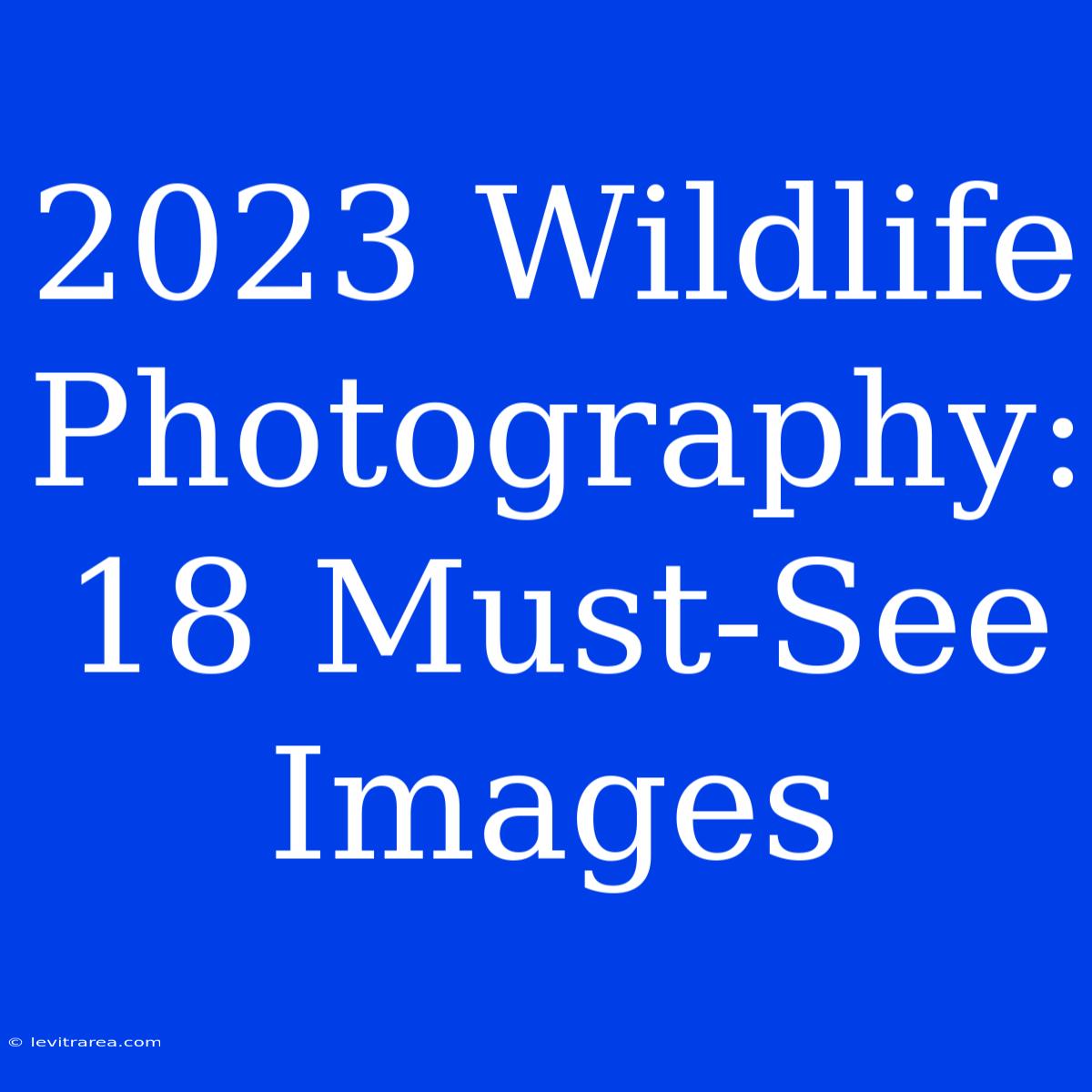 2023 Wildlife Photography: 18 Must-See Images