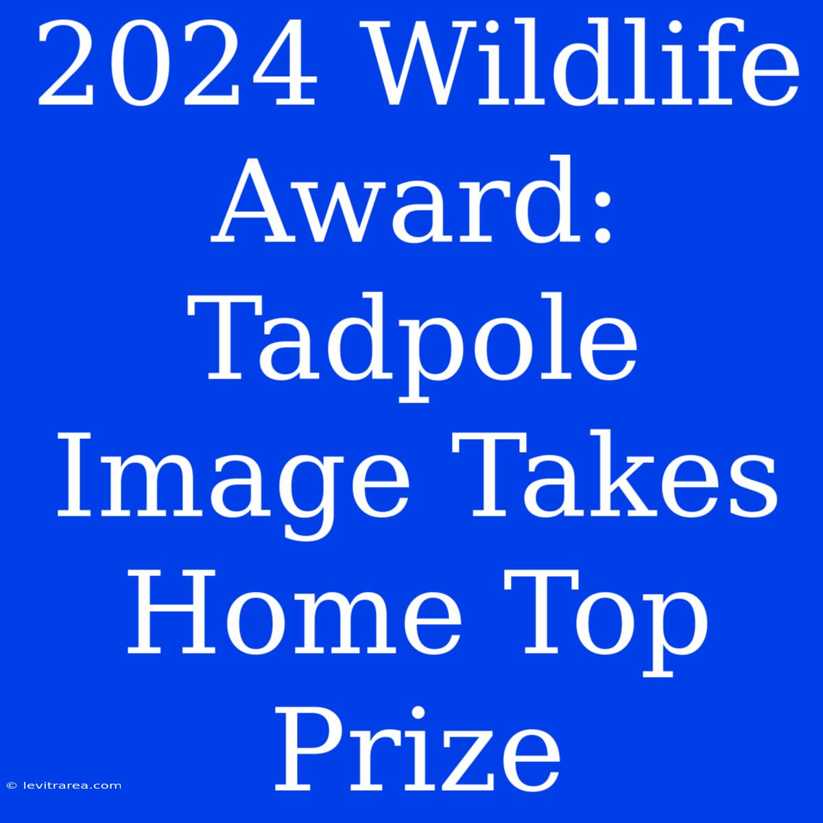 2024 Wildlife Award: Tadpole Image Takes Home Top Prize 