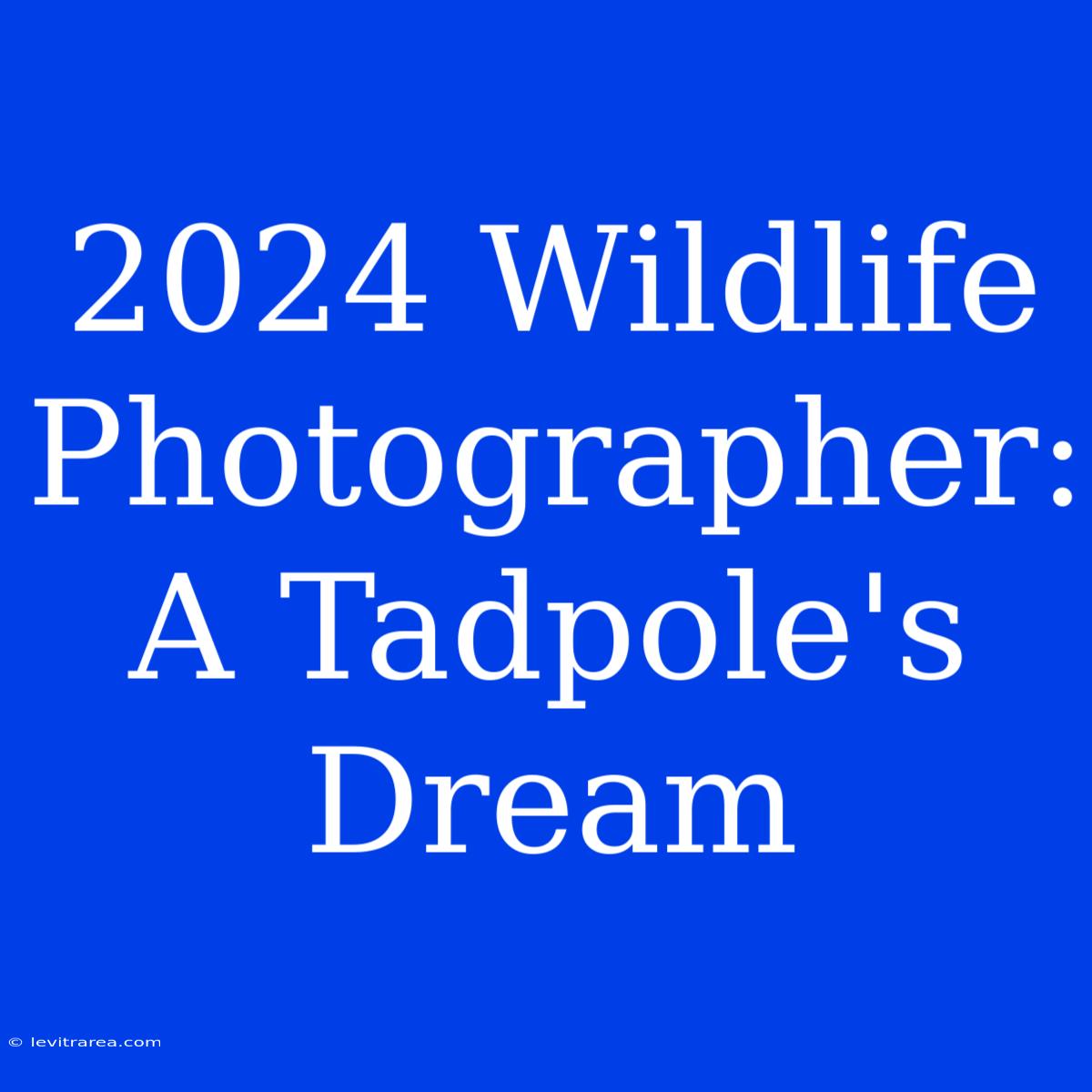 2024 Wildlife Photographer: A Tadpole's Dream 