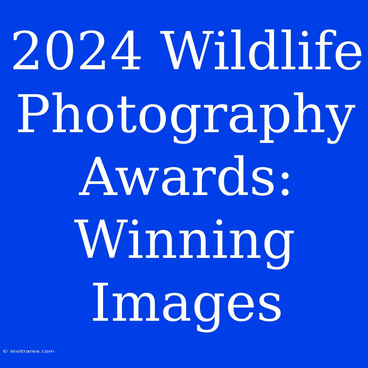 2024 Wildlife Photography Awards: Winning Images