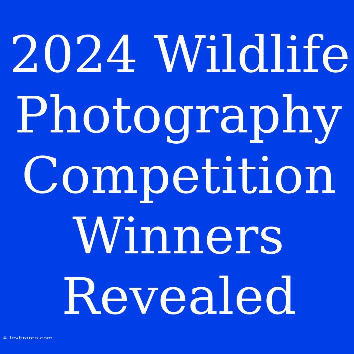 2024 Wildlife Photography Competition Winners Revealed