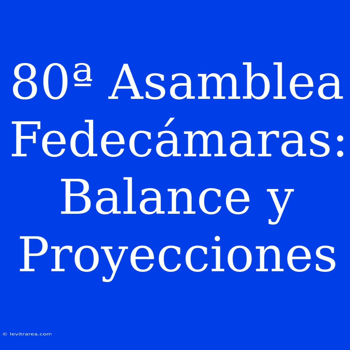 80ª Asamblea Fedecámaras: Balance Y Proyecciones