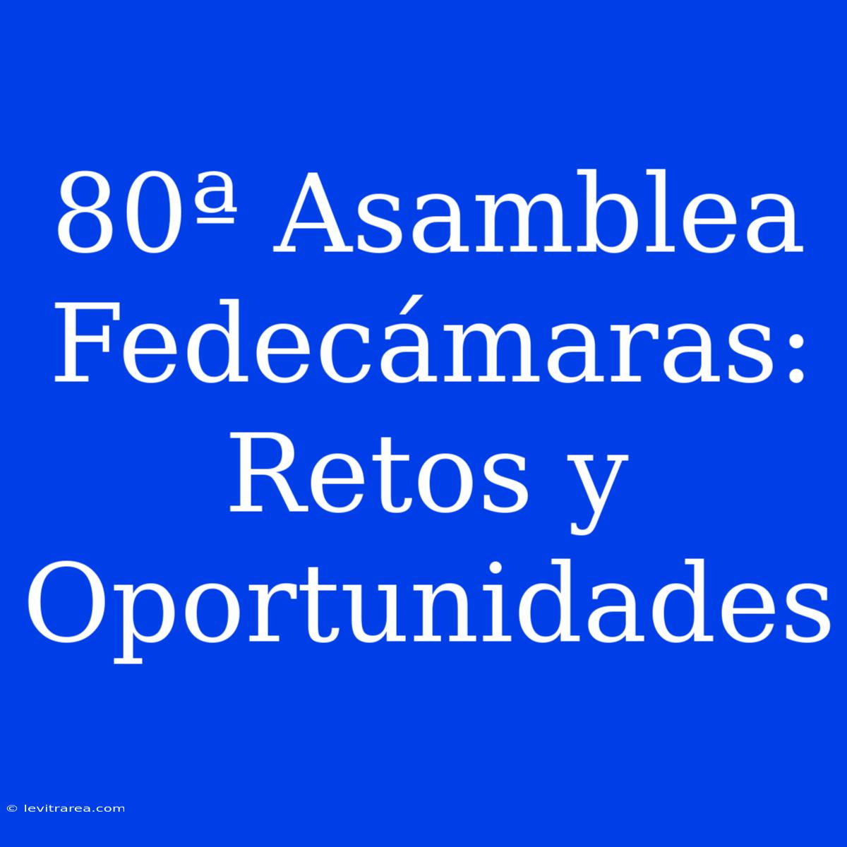 80ª Asamblea Fedecámaras: Retos Y Oportunidades