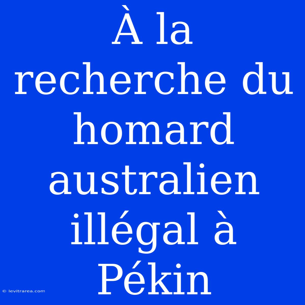 À La Recherche Du Homard Australien Illégal À Pékin