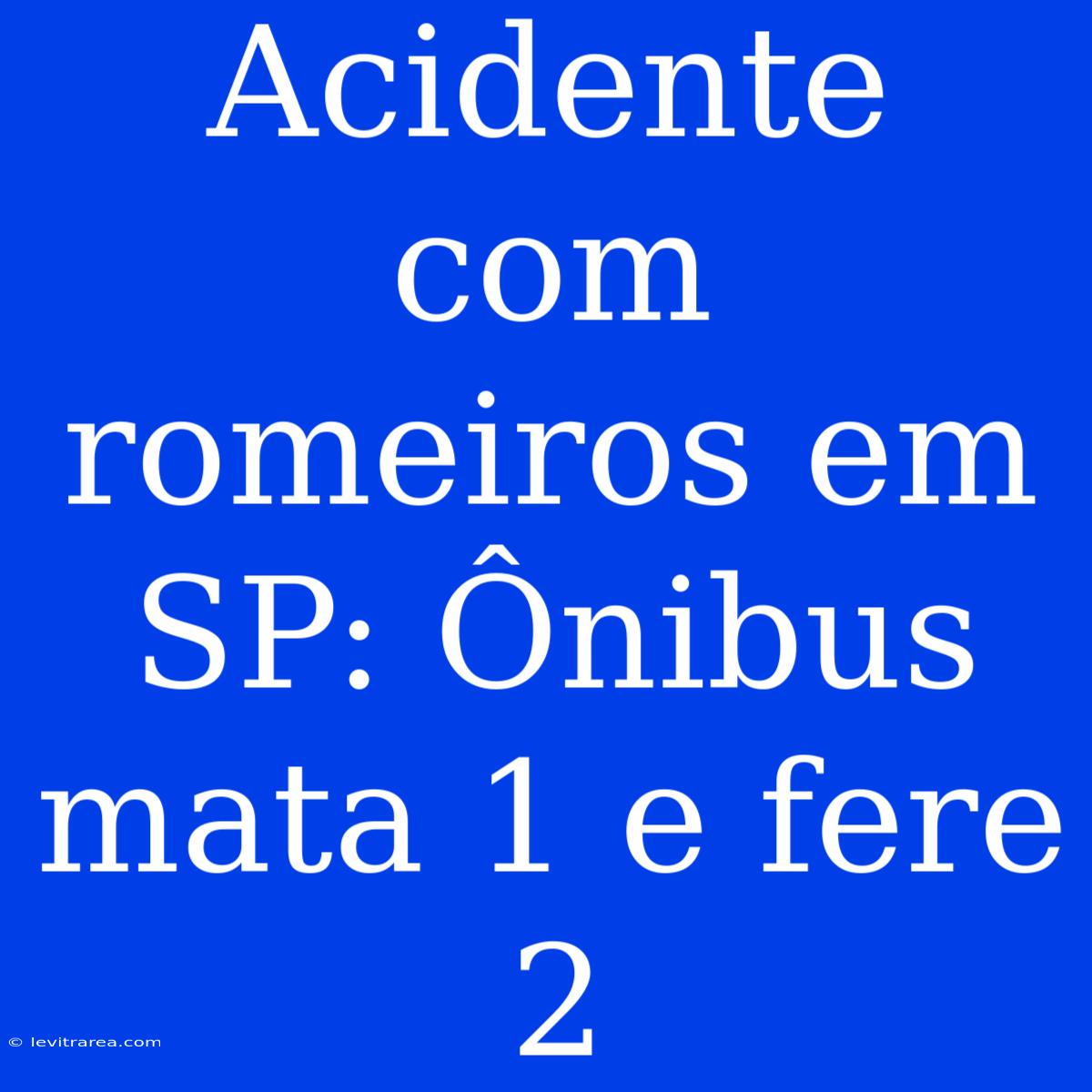 Acidente Com Romeiros Em SP: Ônibus Mata 1 E Fere 2