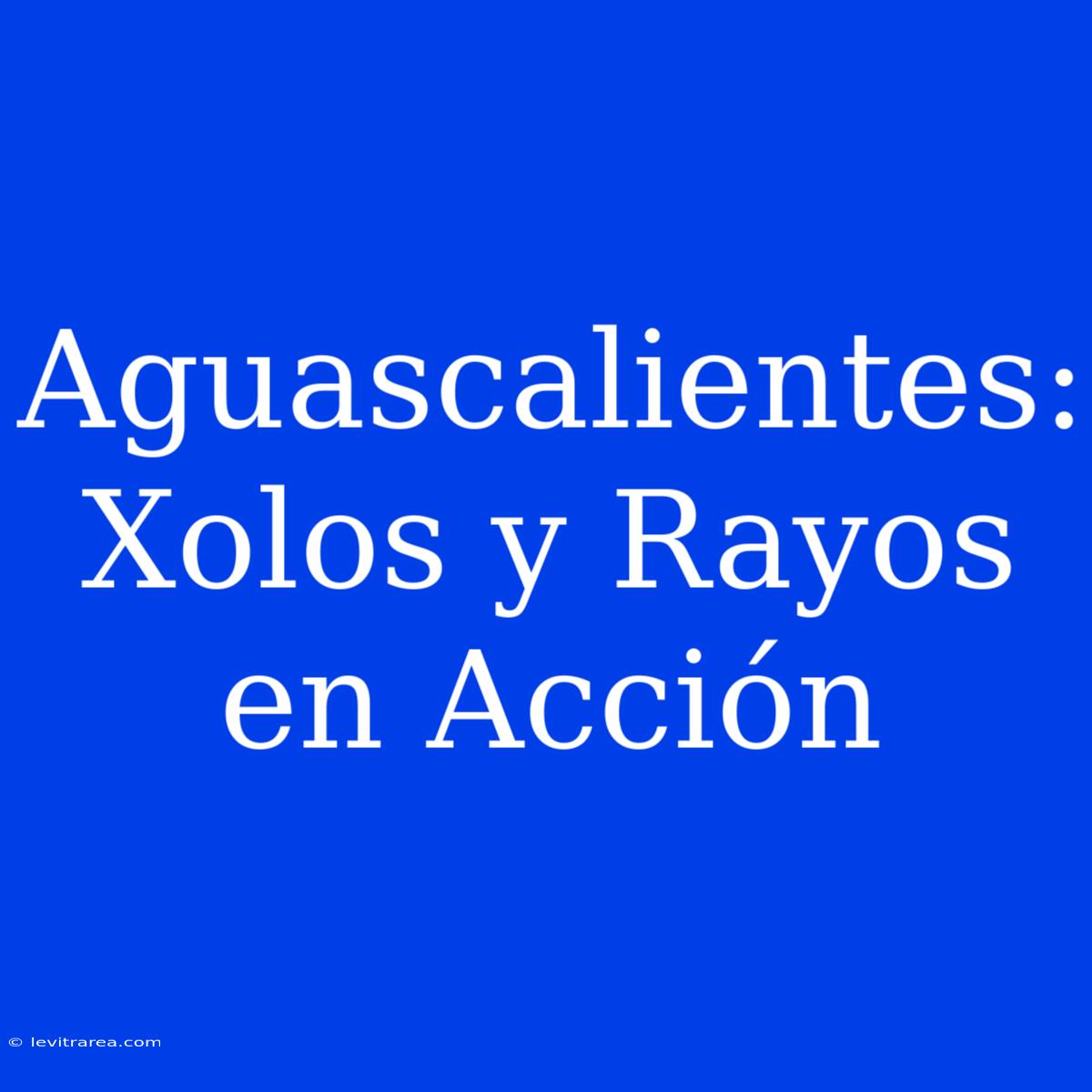 Aguascalientes: Xolos Y Rayos En Acción 