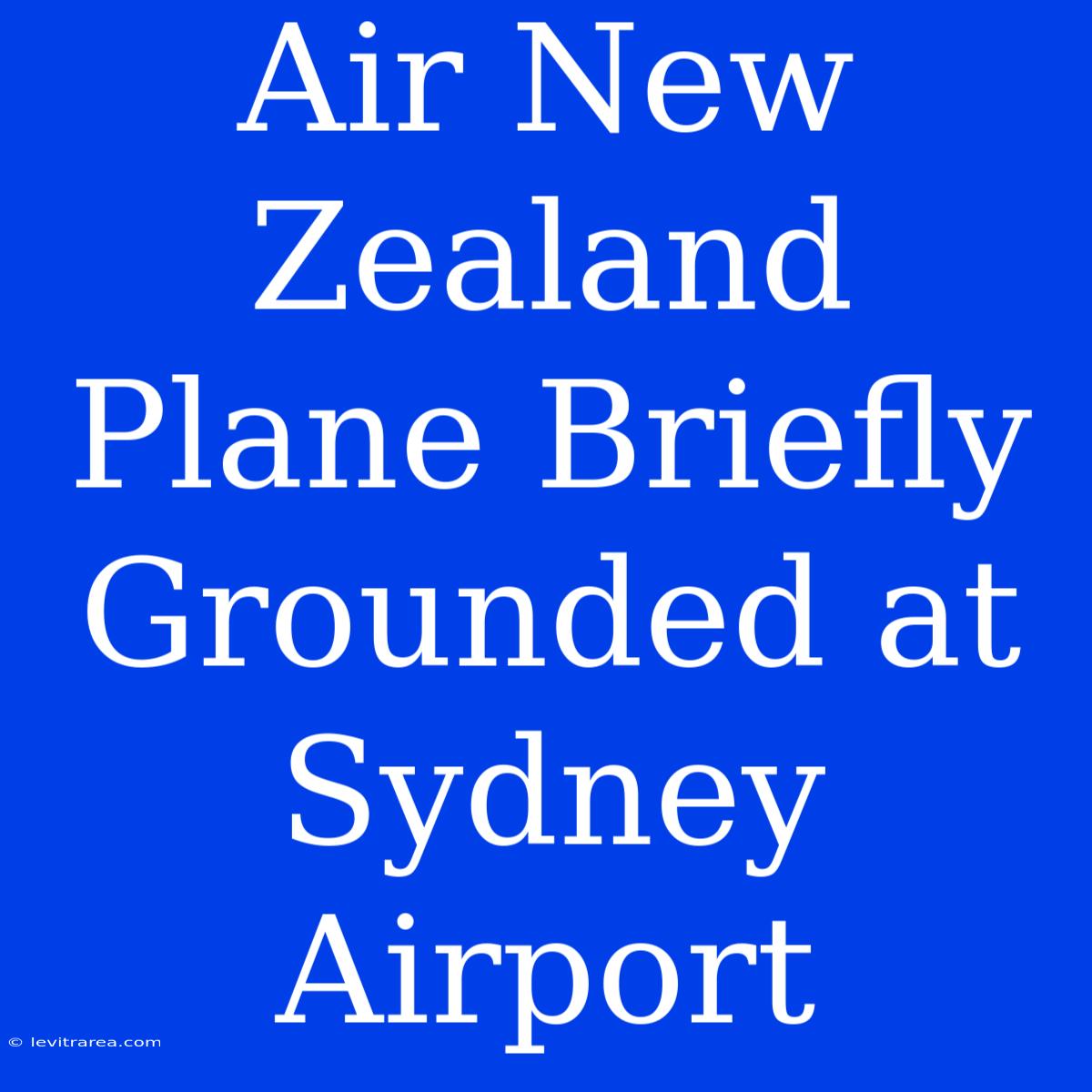 Air New Zealand Plane Briefly Grounded At Sydney Airport 