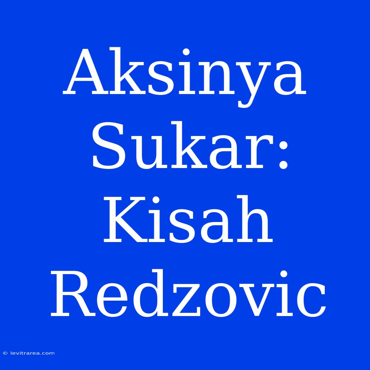 Aksinya Sukar: Kisah Redzovic