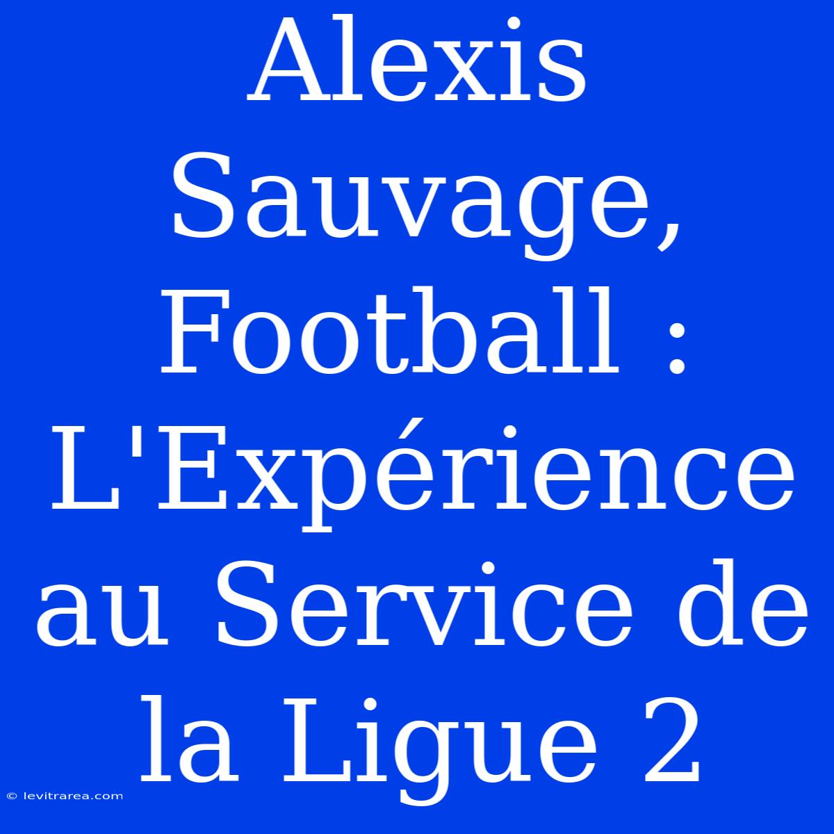 Alexis Sauvage, Football : L'Expérience Au Service De La Ligue 2