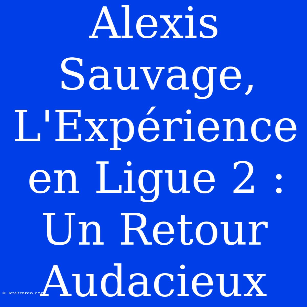 Alexis Sauvage, L'Expérience En Ligue 2 : Un Retour Audacieux