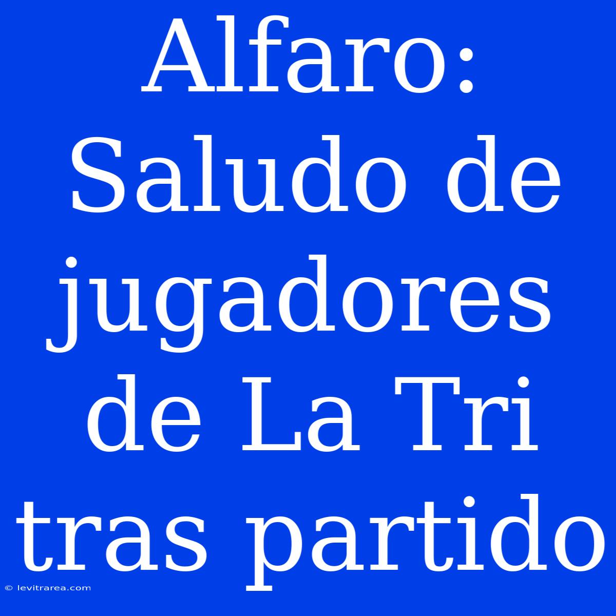 Alfaro: Saludo De Jugadores De La Tri Tras Partido