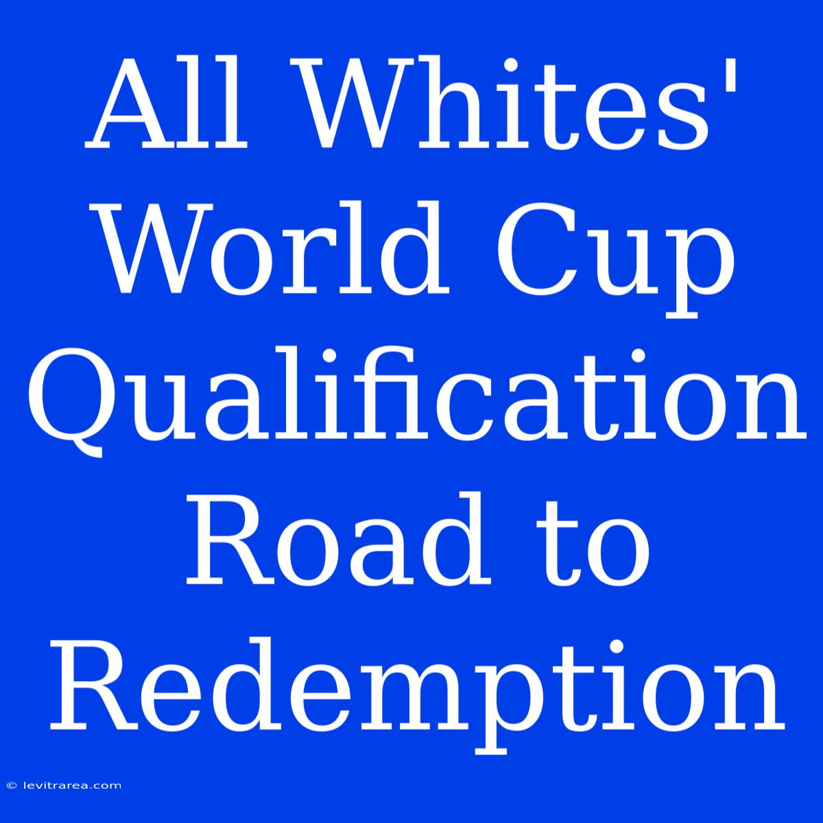 All Whites' World Cup Qualification Road To Redemption