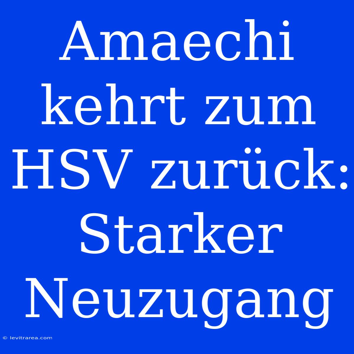 Amaechi Kehrt Zum HSV Zurück: Starker Neuzugang 