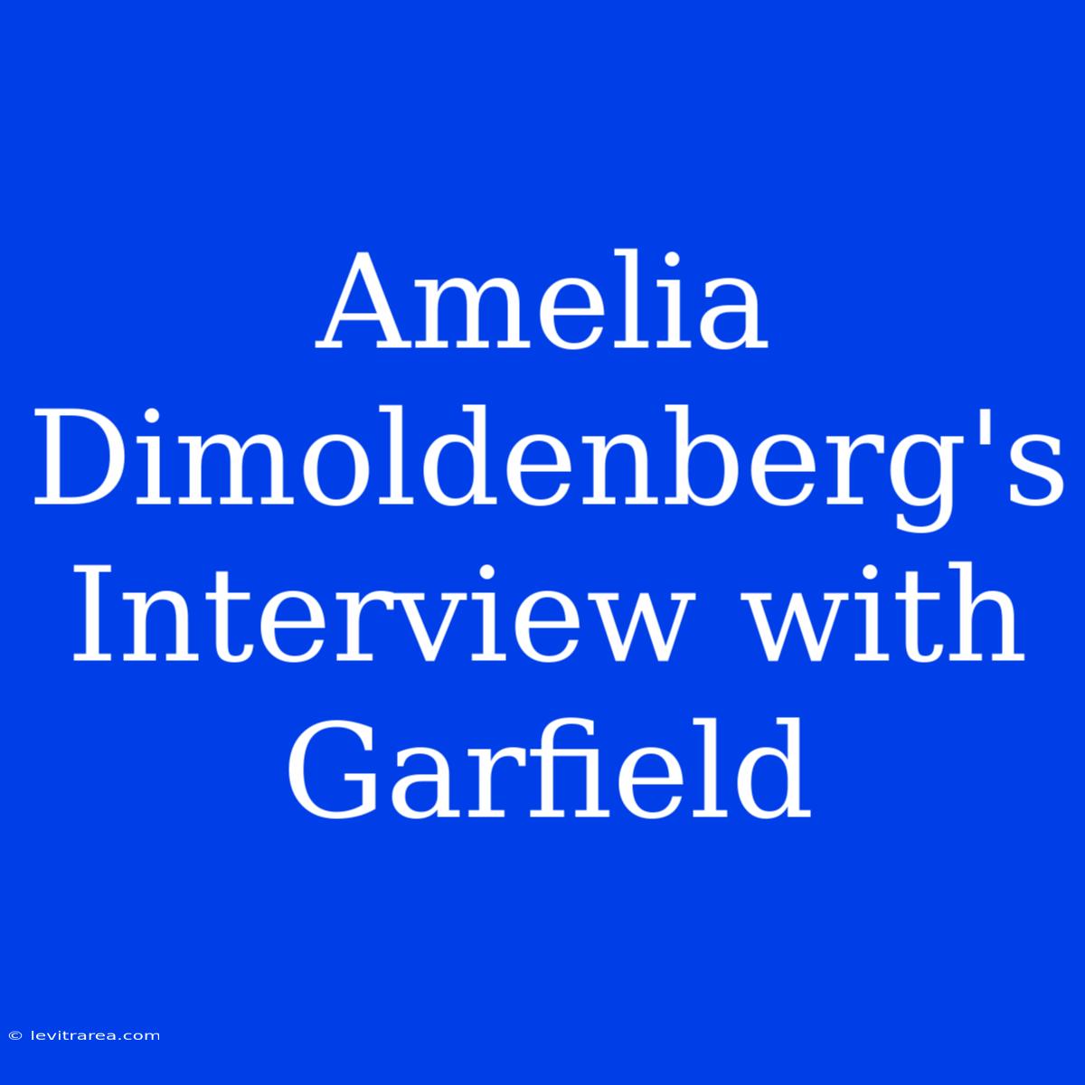 Amelia Dimoldenberg's Interview With Garfield 