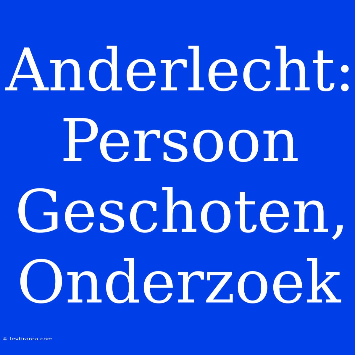 Anderlecht: Persoon Geschoten, Onderzoek