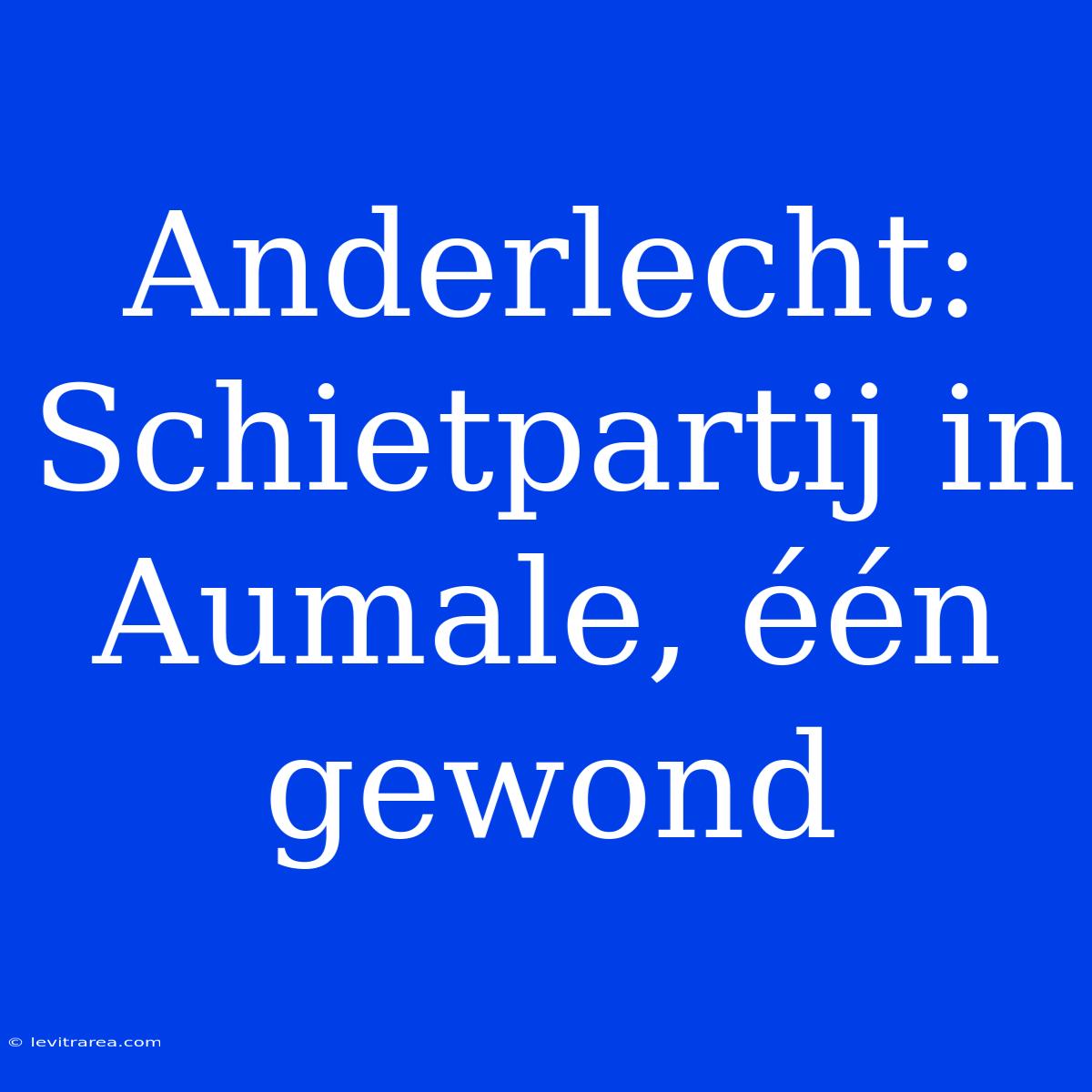 Anderlecht: Schietpartij In Aumale, Één Gewond