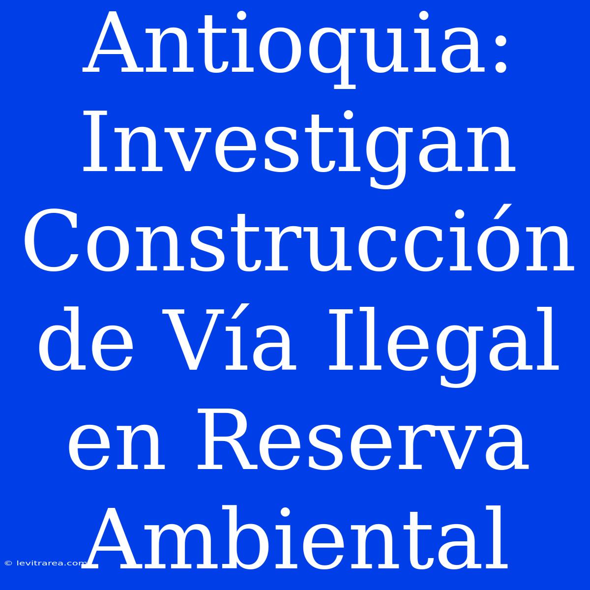 Antioquia: Investigan Construcción De Vía Ilegal En Reserva Ambiental