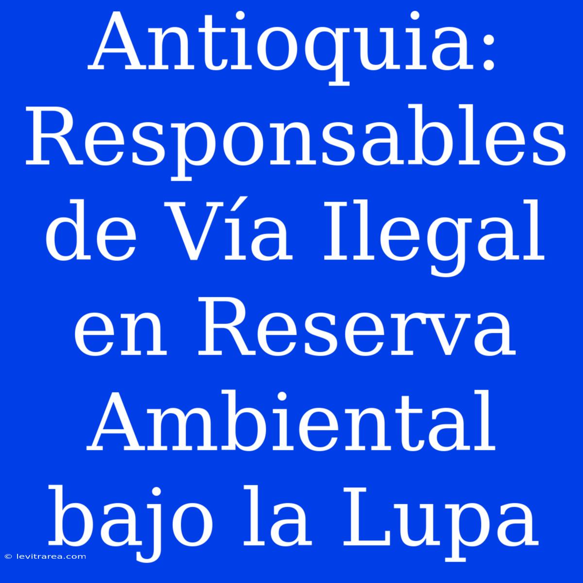 Antioquia: Responsables De Vía Ilegal En Reserva Ambiental Bajo La Lupa