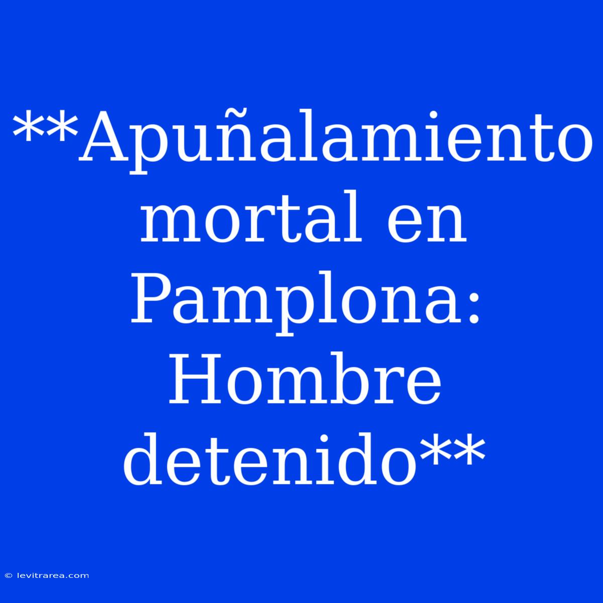 **Apuñalamiento Mortal En Pamplona: Hombre Detenido**