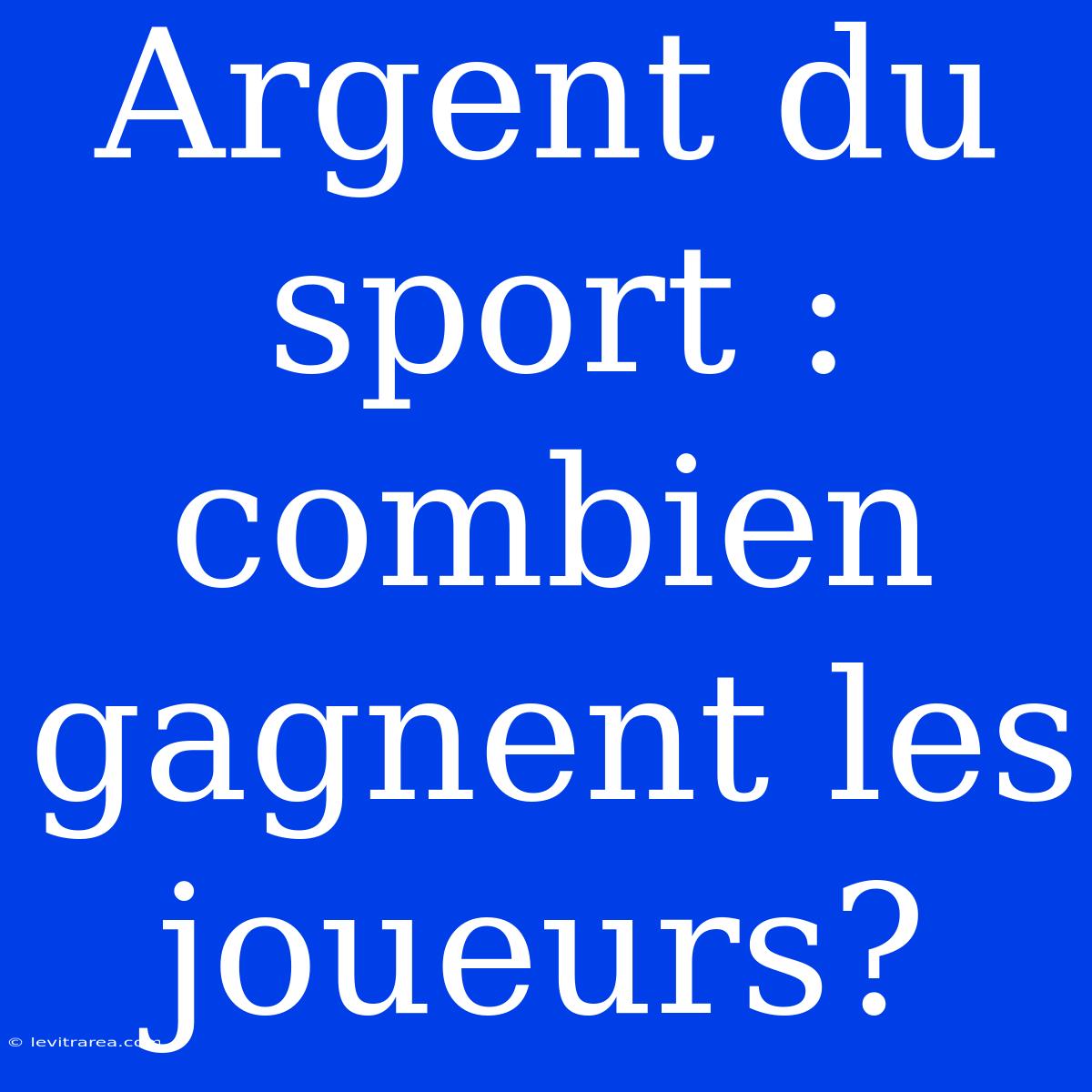 Argent Du Sport : Combien Gagnent Les Joueurs? 