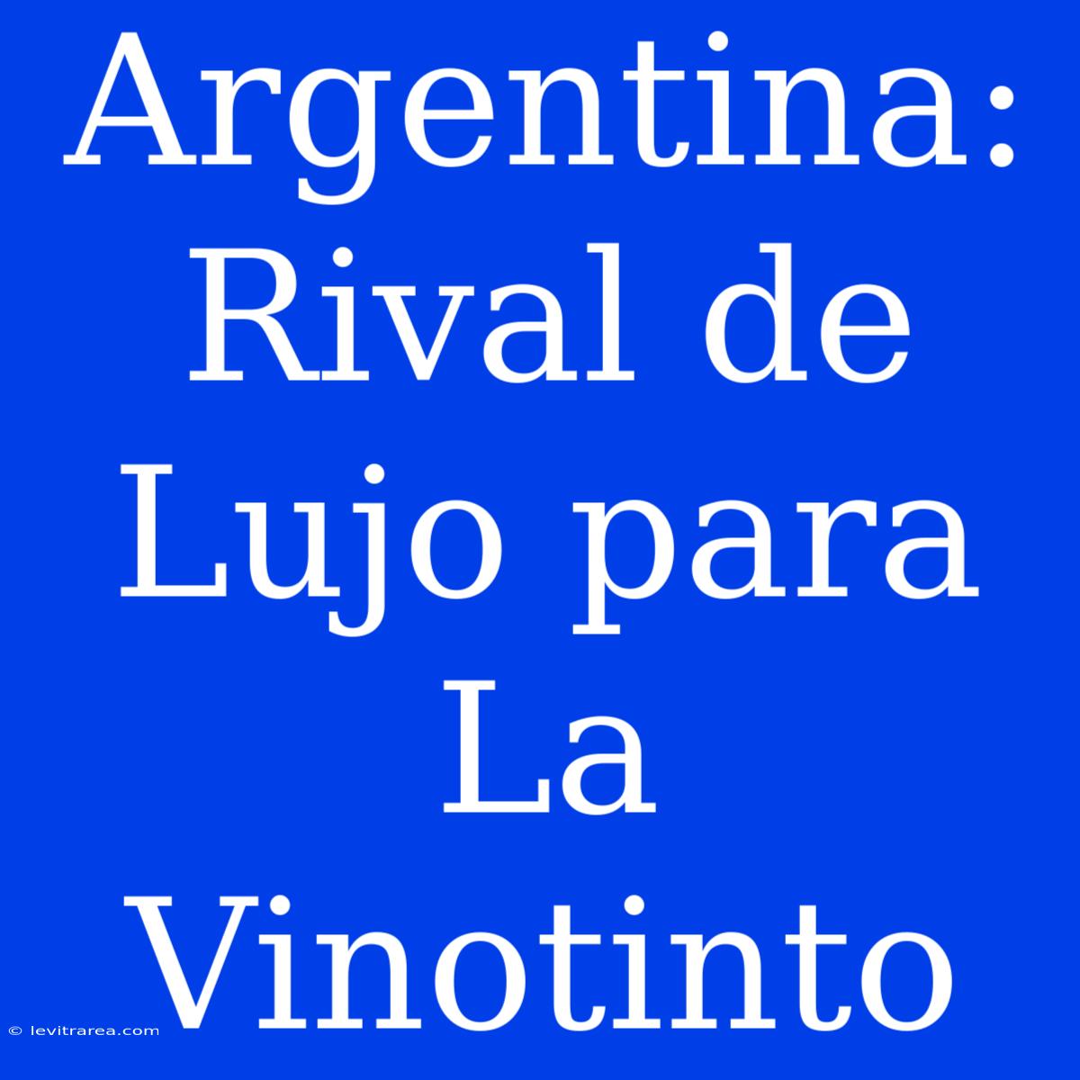 Argentina: Rival De Lujo Para La Vinotinto