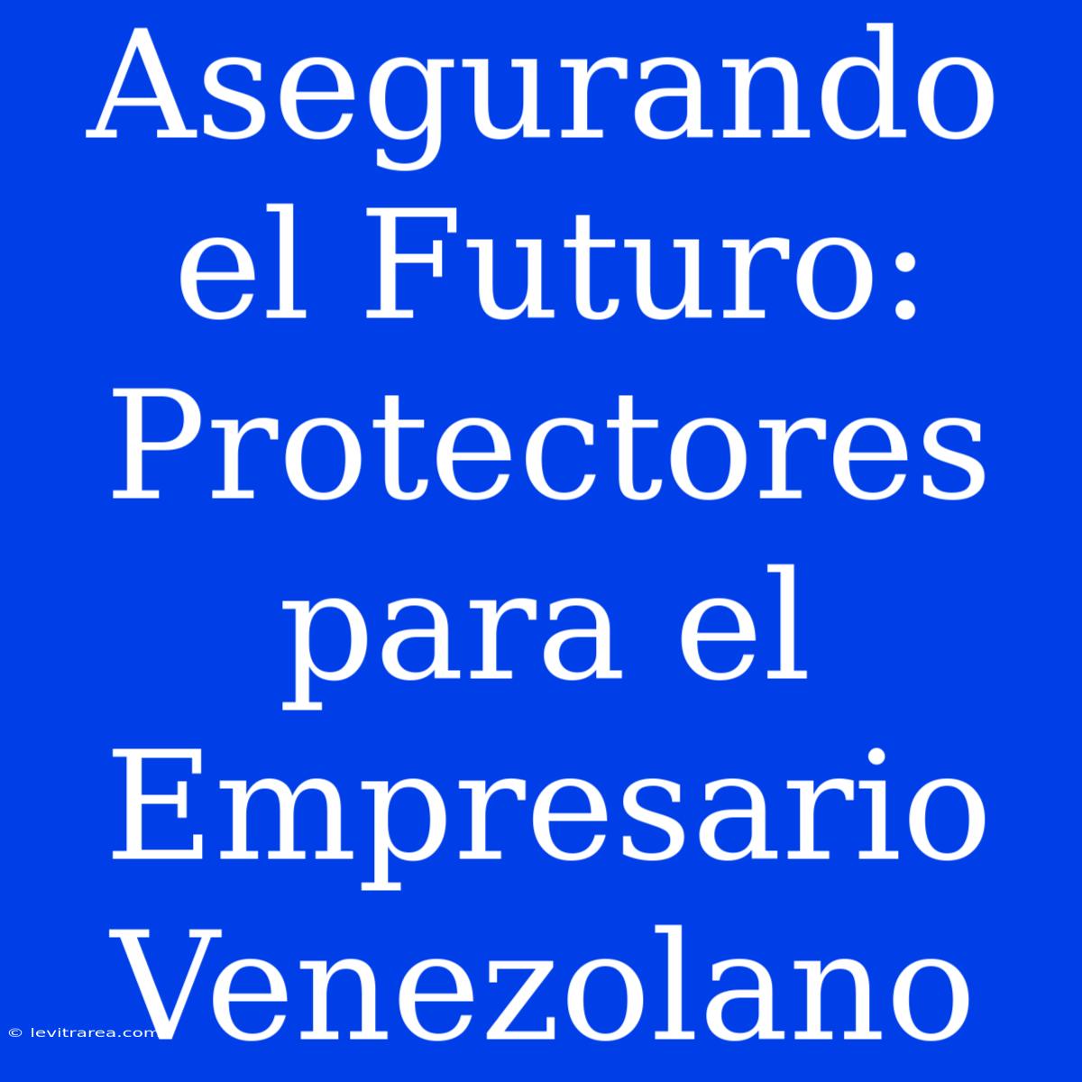 Asegurando El Futuro: Protectores Para El Empresario Venezolano