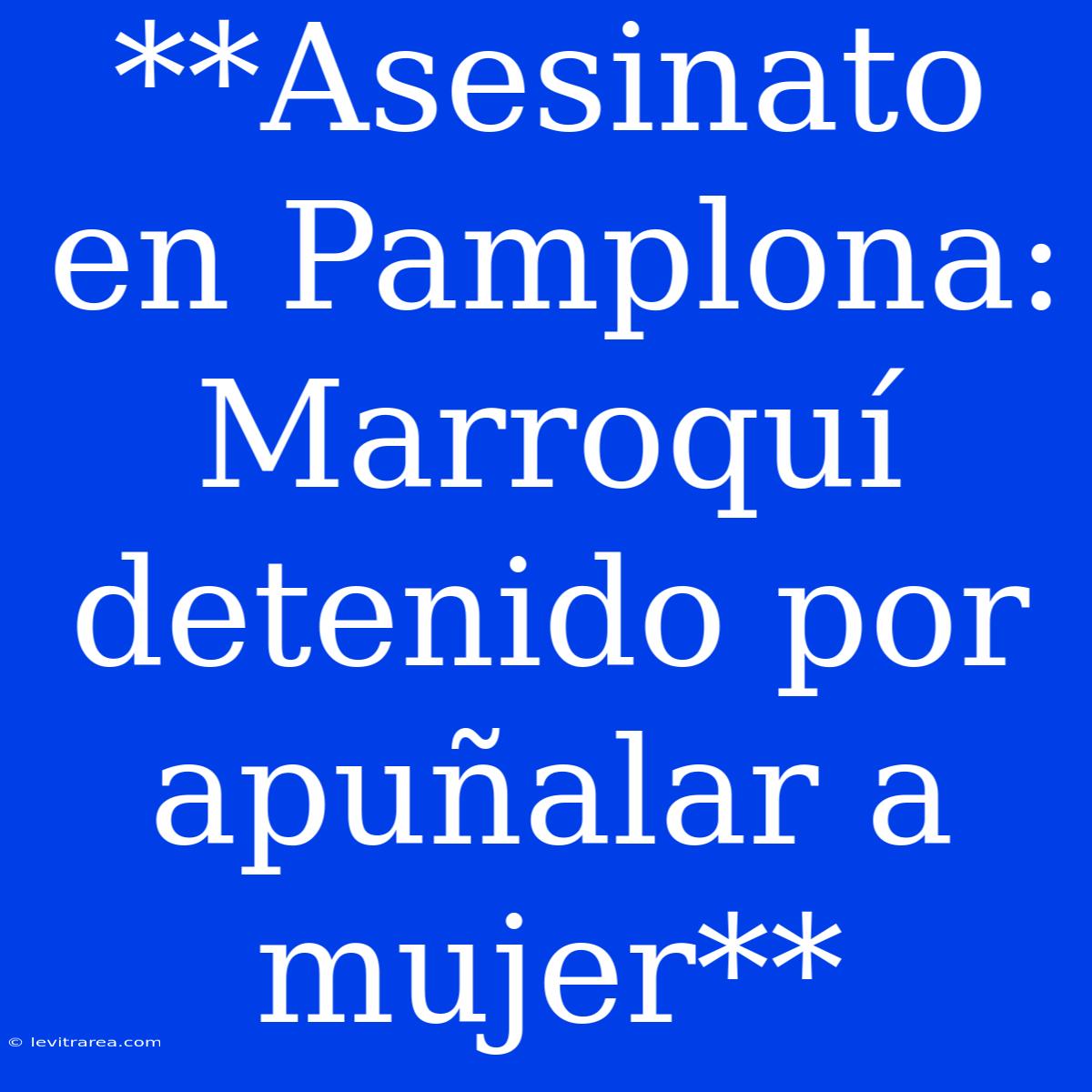 **Asesinato En Pamplona: Marroquí Detenido Por Apuñalar A Mujer**