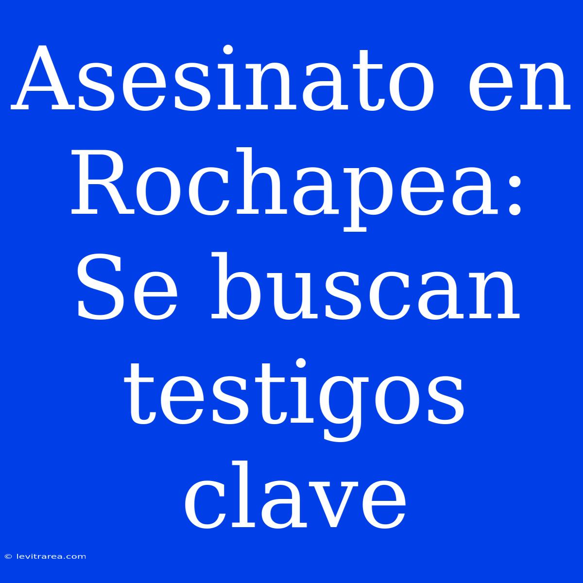 Asesinato En Rochapea: Se Buscan Testigos Clave