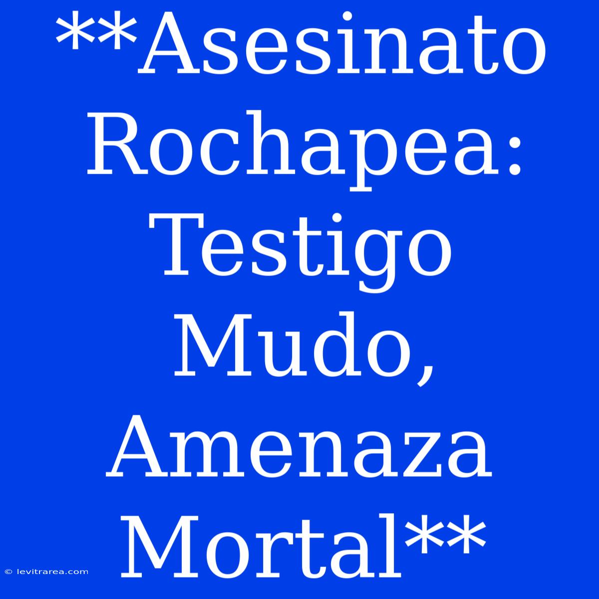 **Asesinato Rochapea: Testigo Mudo, Amenaza Mortal**