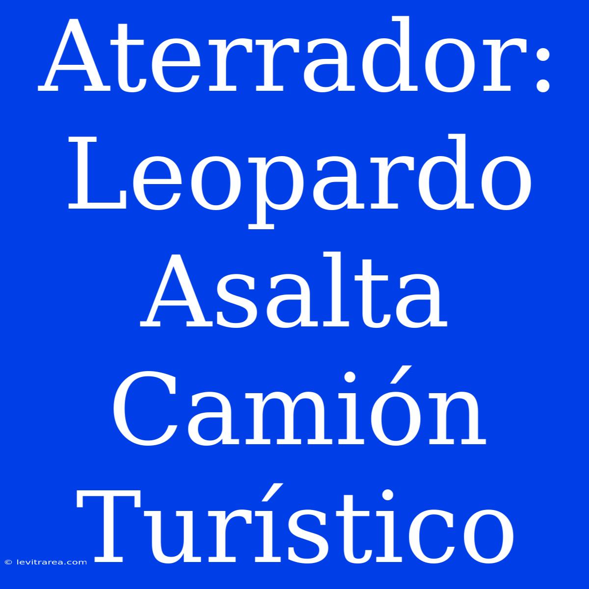 Aterrador: Leopardo Asalta Camión Turístico