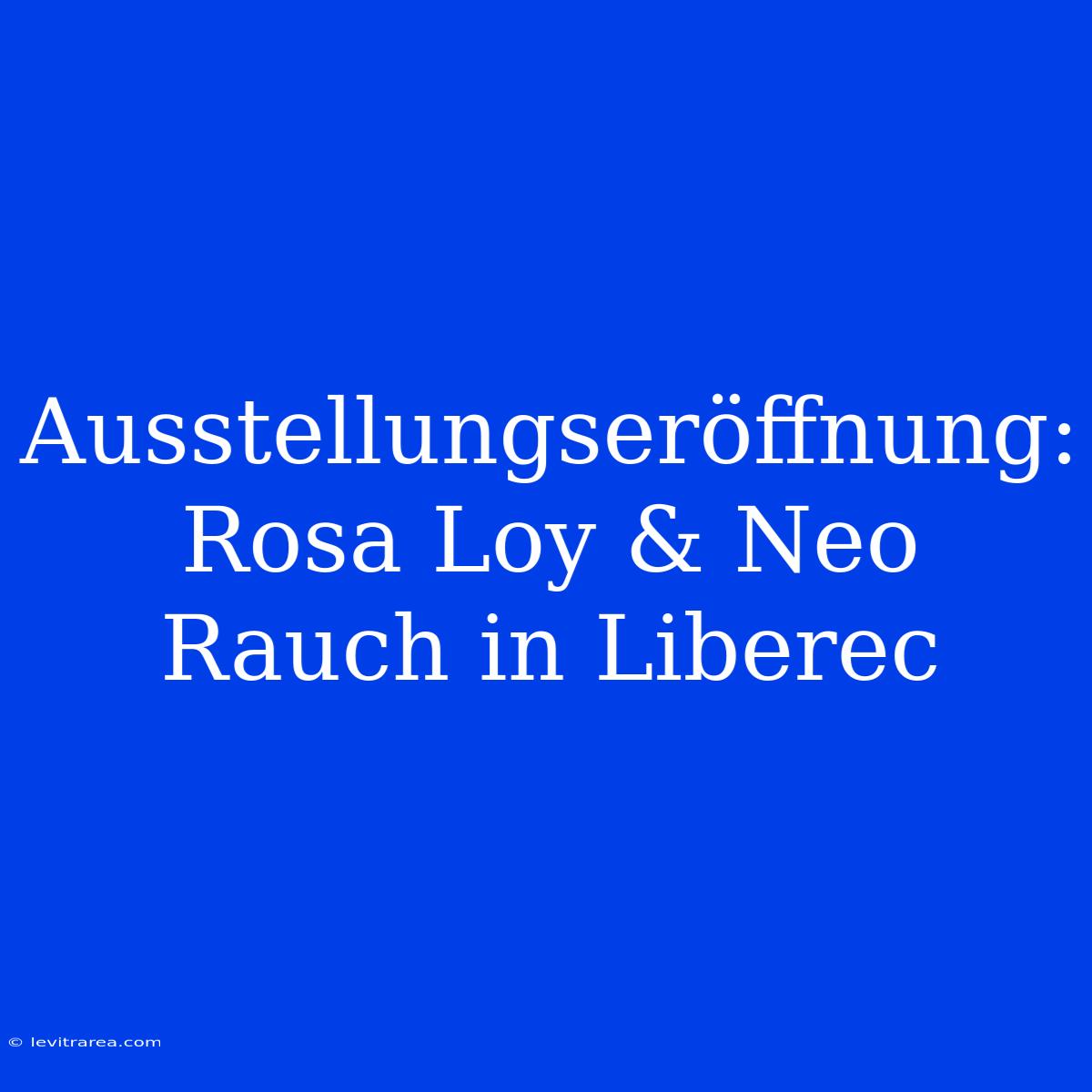 Ausstellungseröffnung: Rosa Loy & Neo Rauch In Liberec 