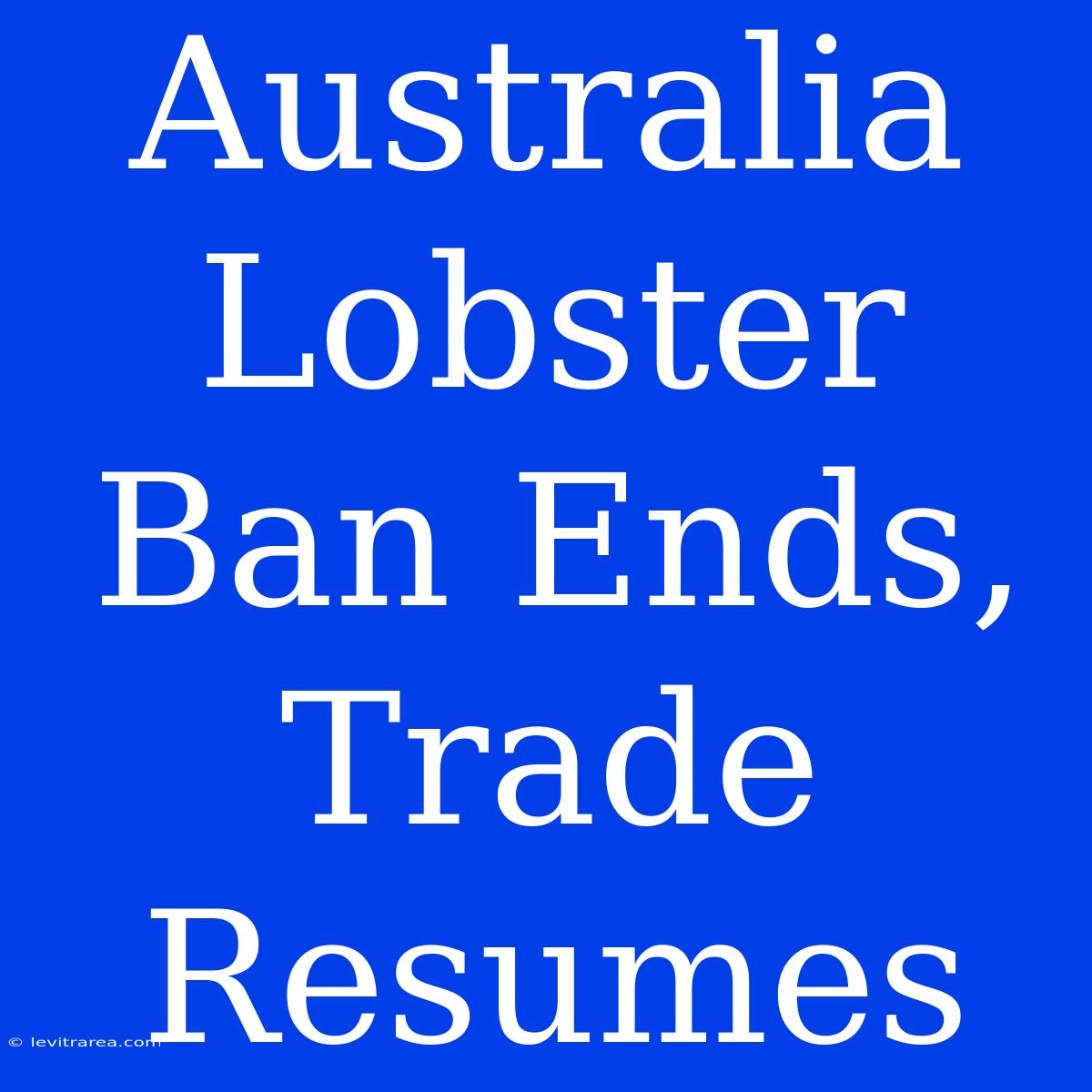 Australia Lobster Ban Ends, Trade Resumes