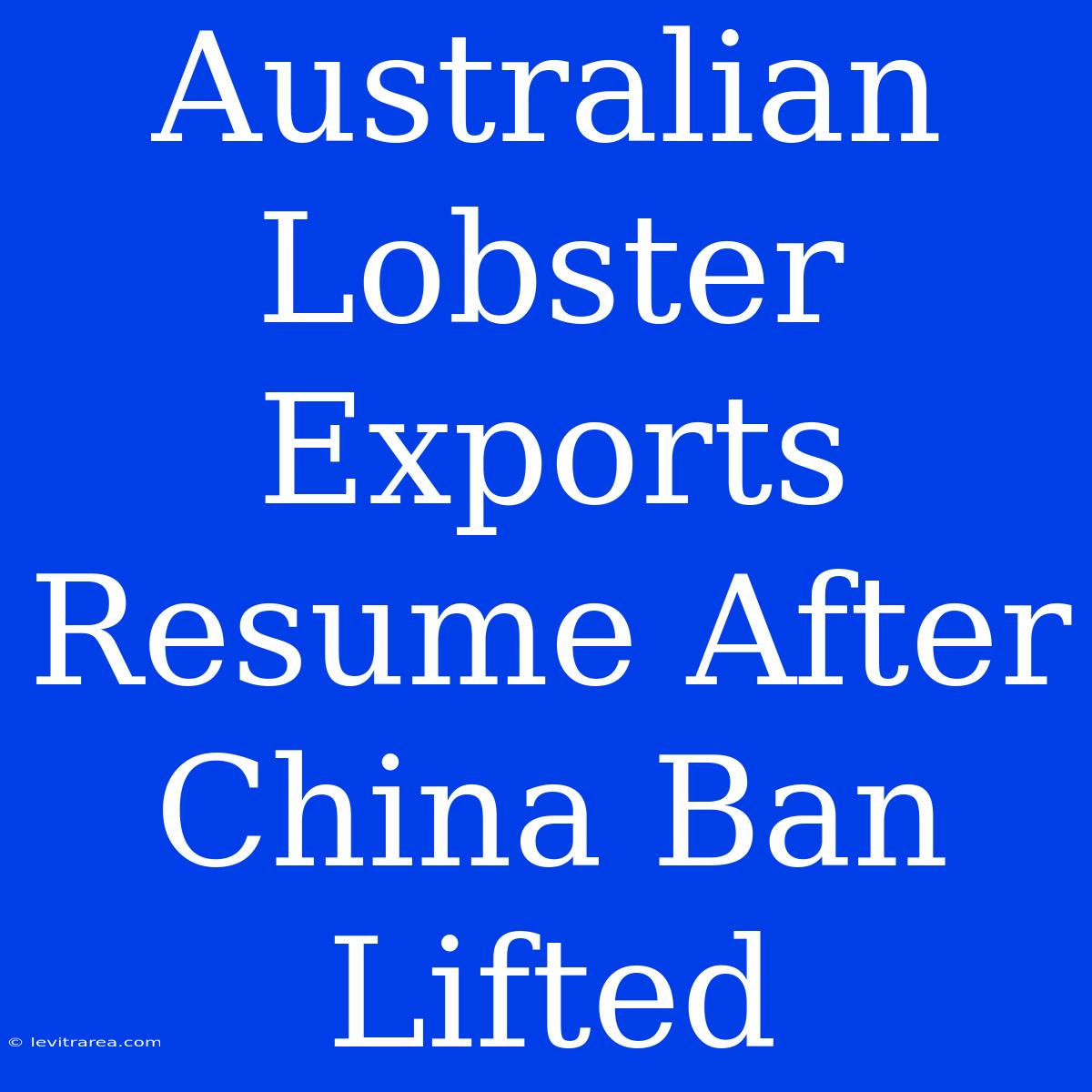 Australian Lobster Exports Resume After China Ban Lifted