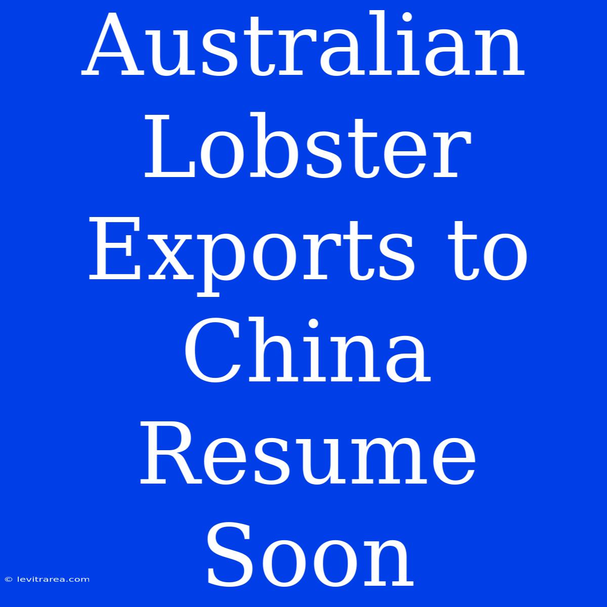 Australian Lobster Exports To China Resume Soon