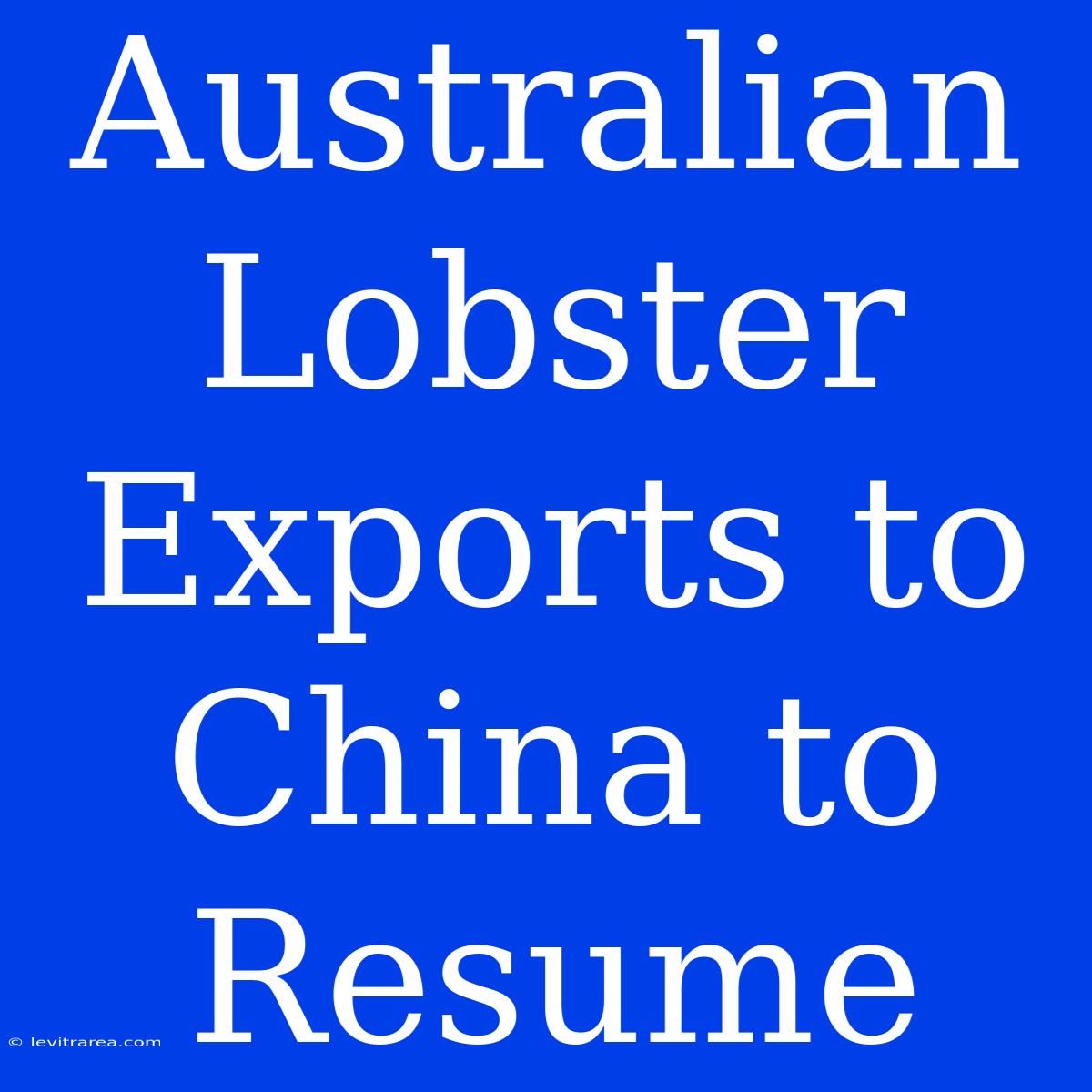 Australian Lobster Exports To China To Resume