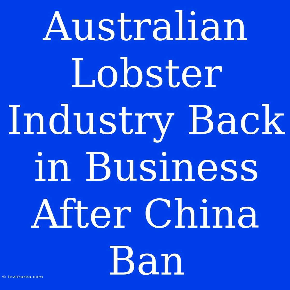 Australian Lobster Industry Back In Business After China Ban 