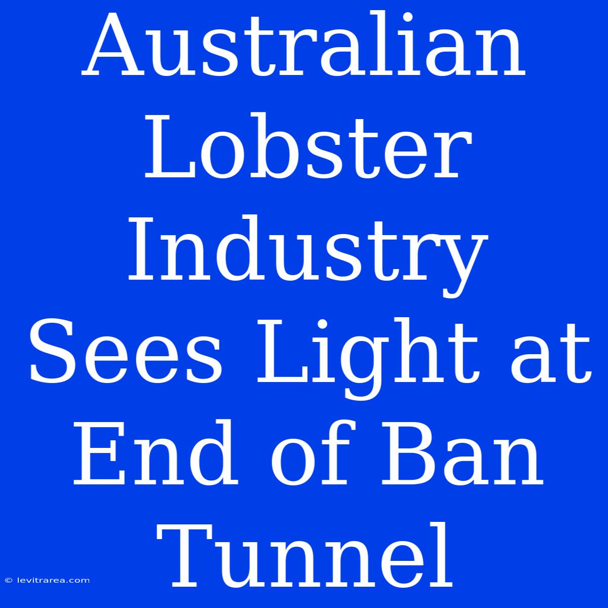 Australian Lobster Industry Sees Light At End Of Ban Tunnel