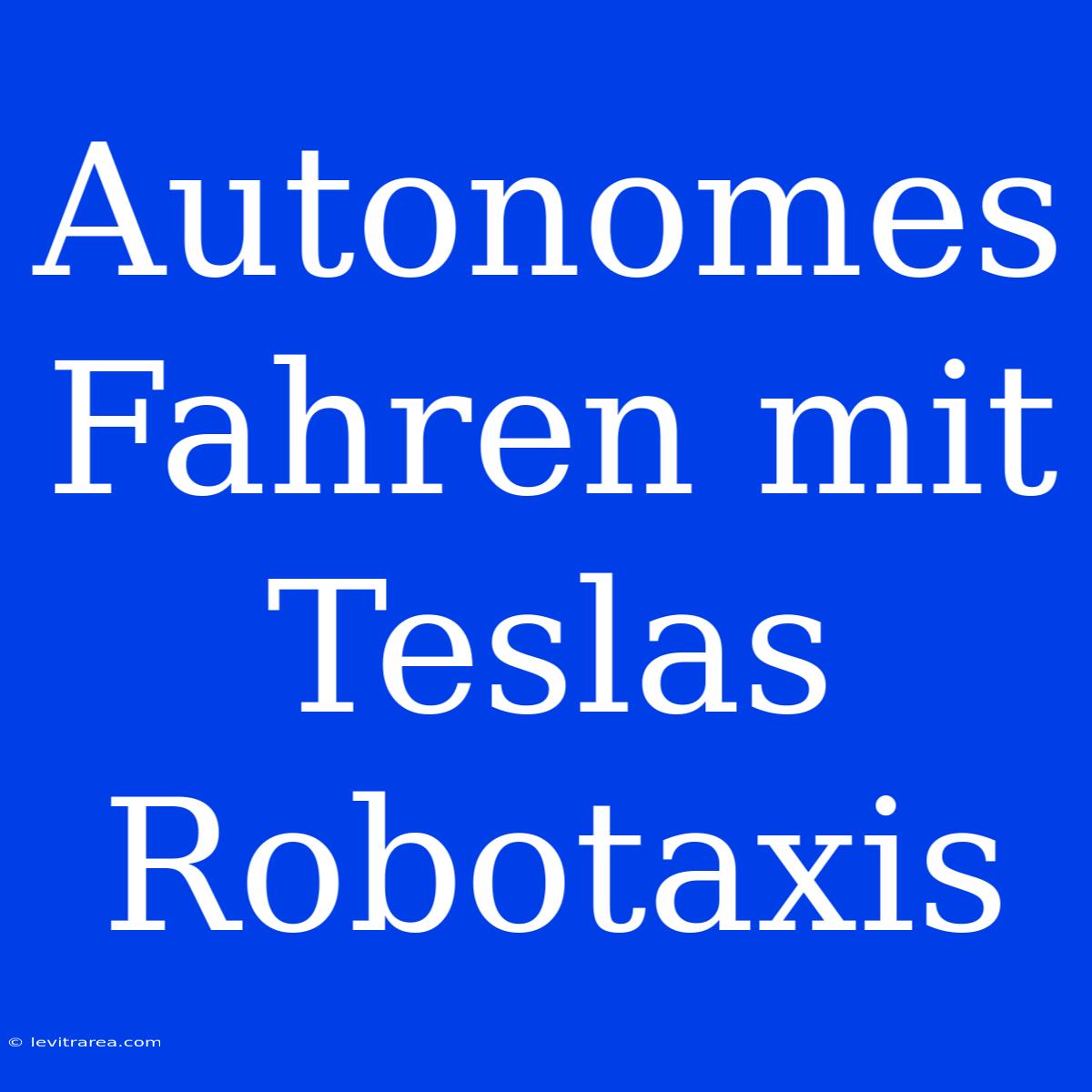 Autonomes Fahren Mit Teslas Robotaxis