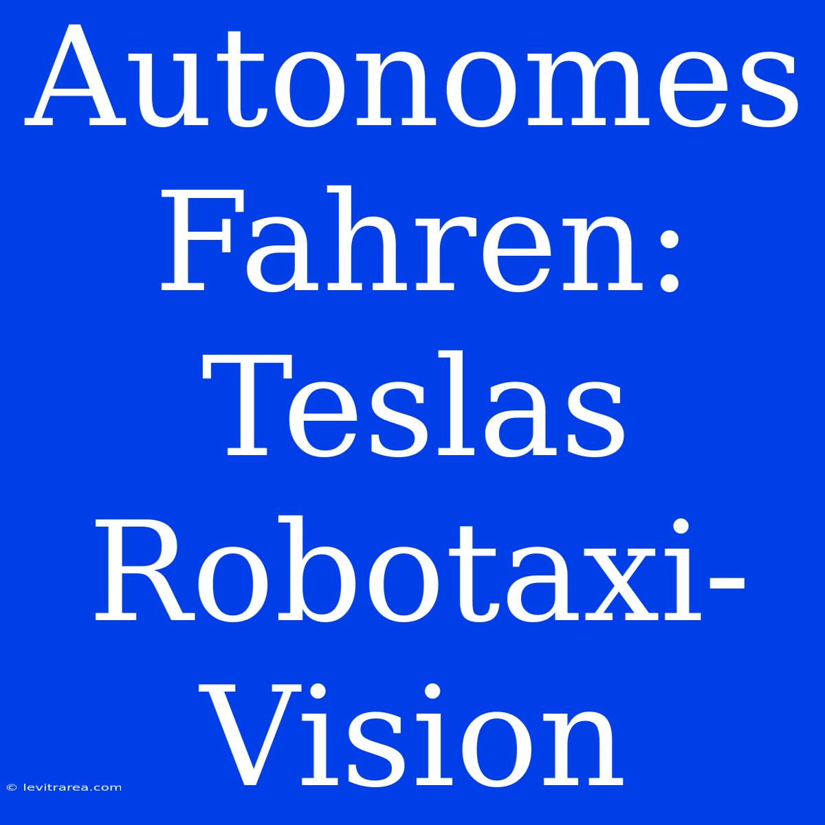 Autonomes Fahren: Teslas Robotaxi-Vision