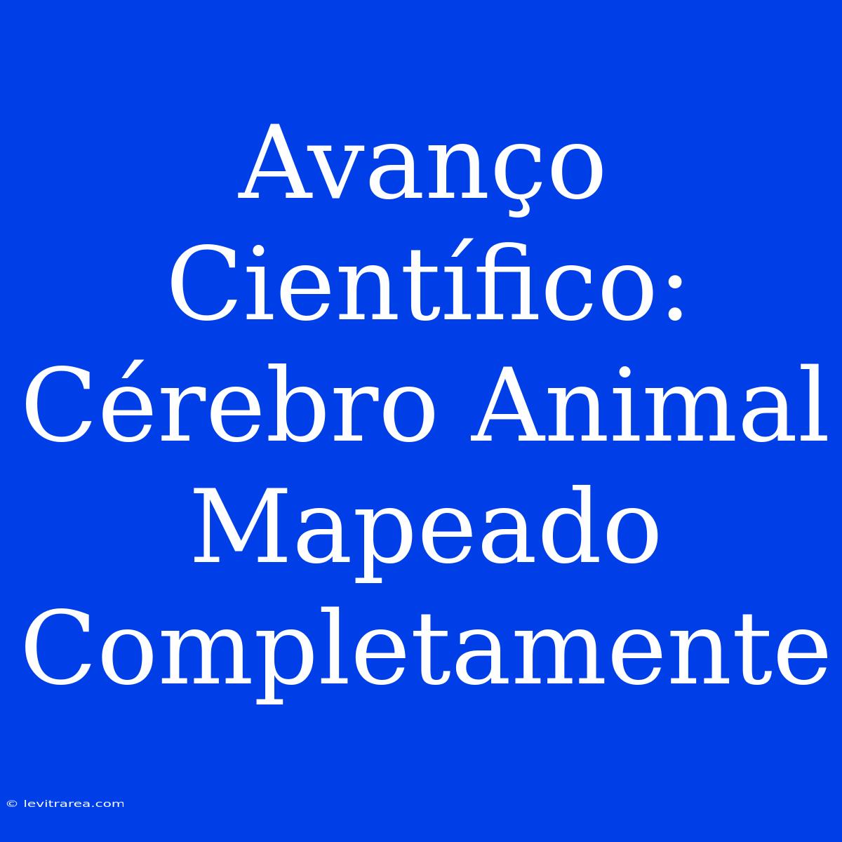 Avanço Científico: Cérebro Animal Mapeado Completamente