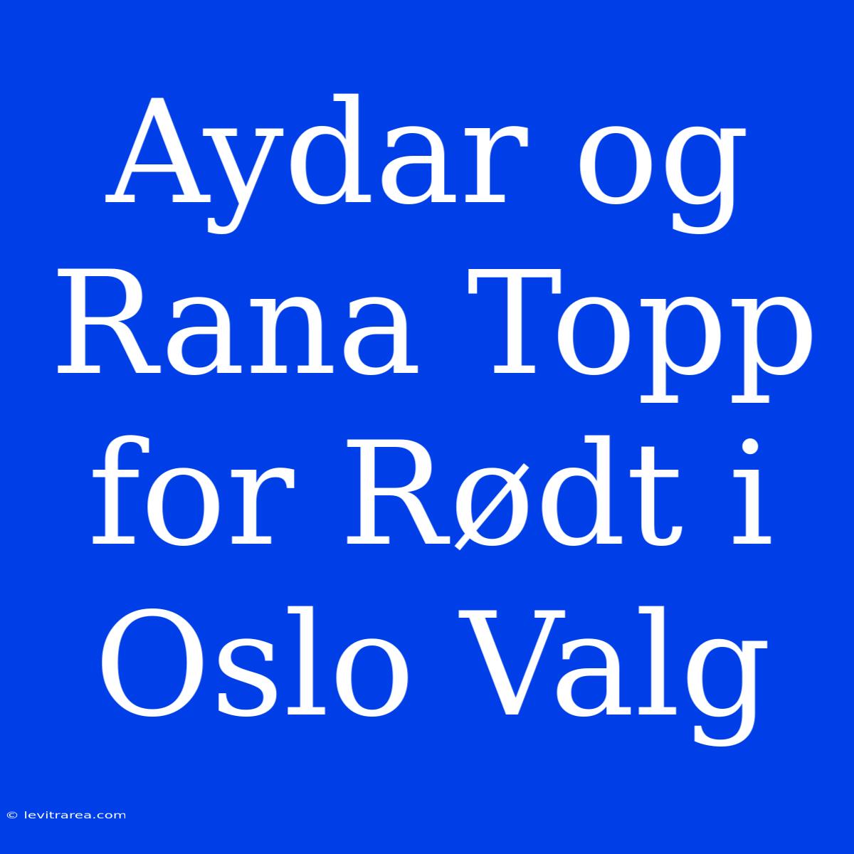 Aydar Og Rana Topp For Rødt I Oslo Valg