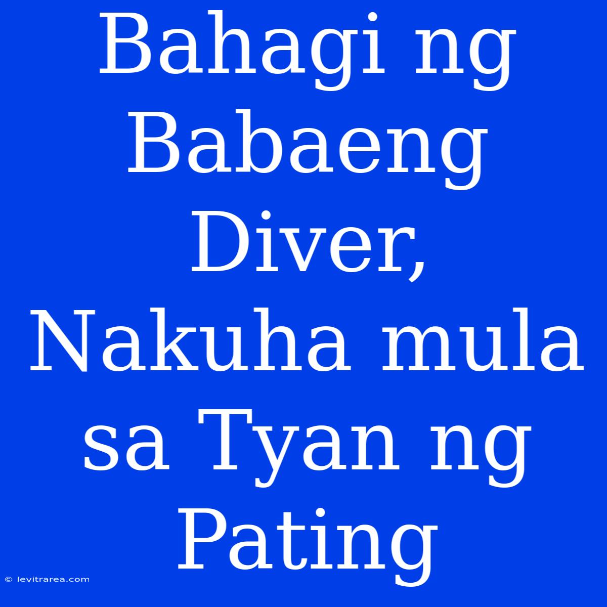 Bahagi Ng Babaeng Diver, Nakuha Mula Sa Tyan Ng Pating