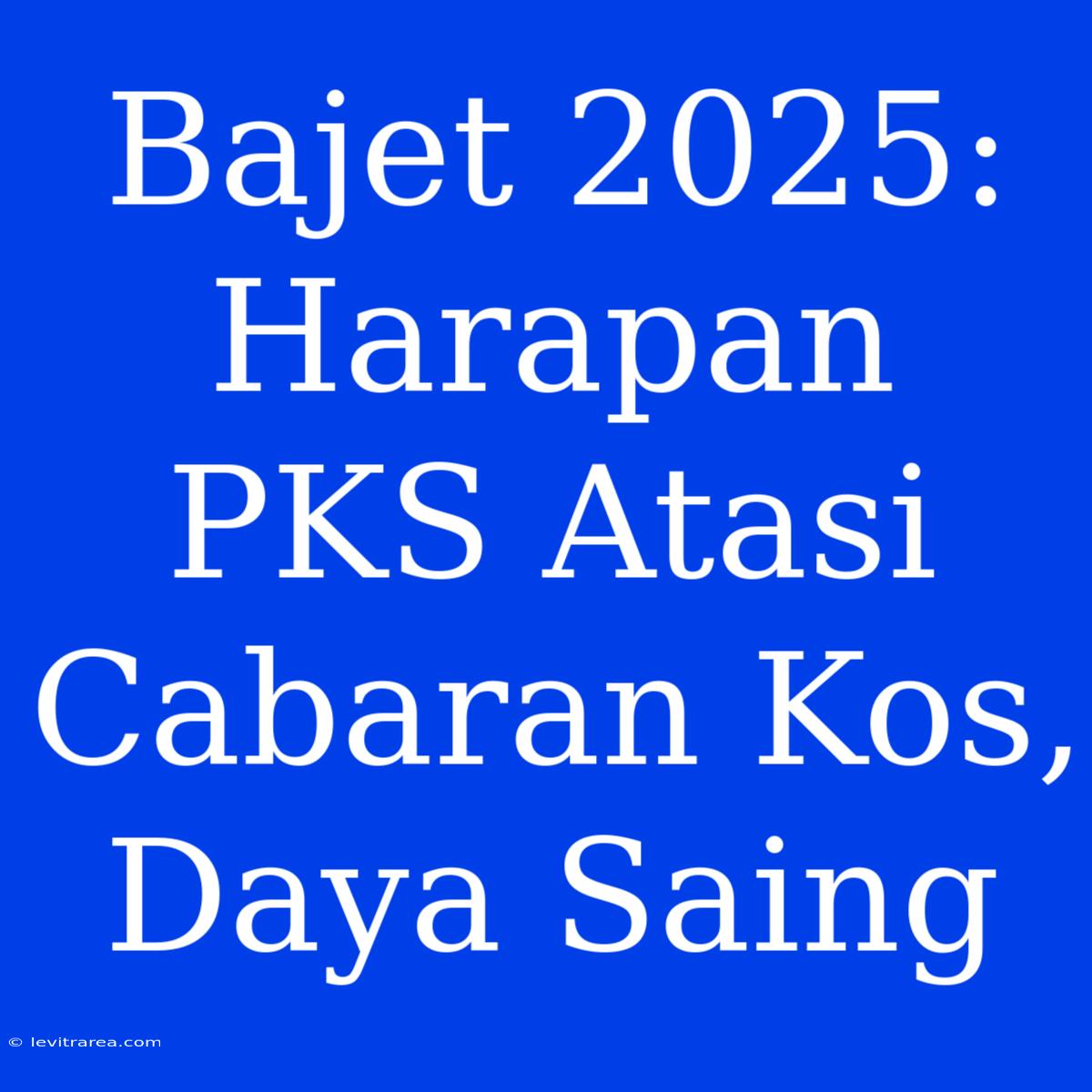 Bajet 2025: Harapan PKS Atasi Cabaran Kos, Daya Saing