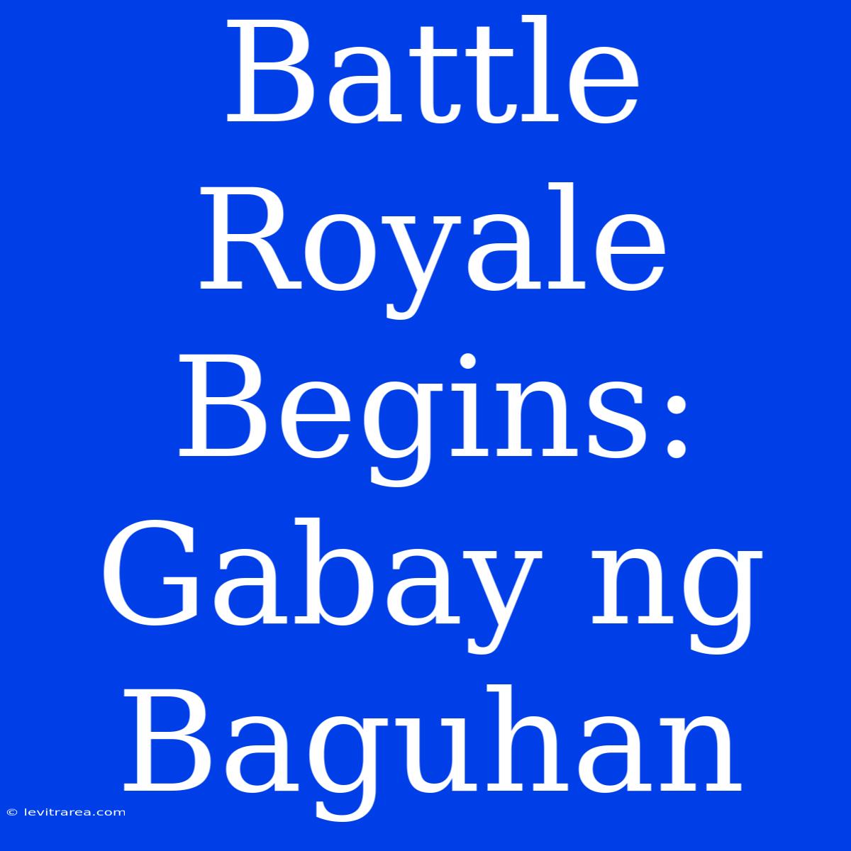 Battle Royale Begins: Gabay Ng Baguhan