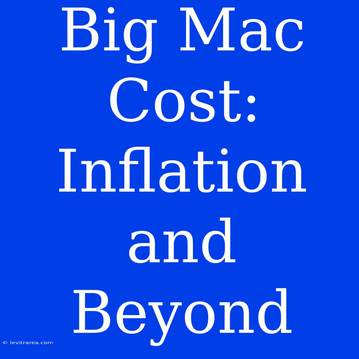 Big Mac Cost: Inflation And Beyond