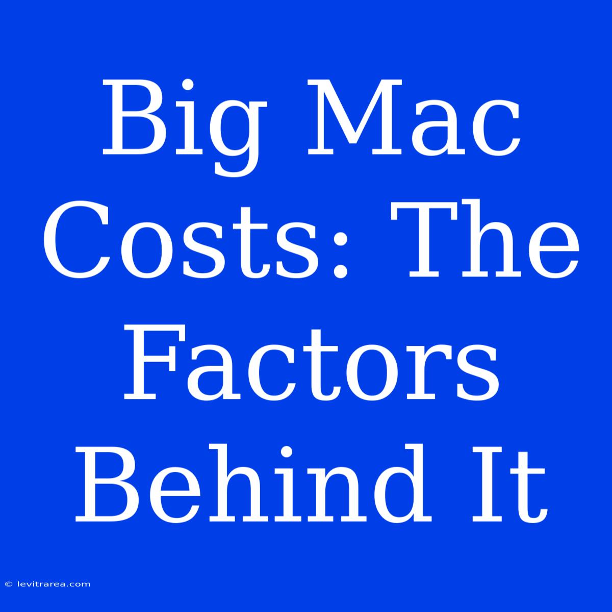 Big Mac Costs: The Factors Behind It