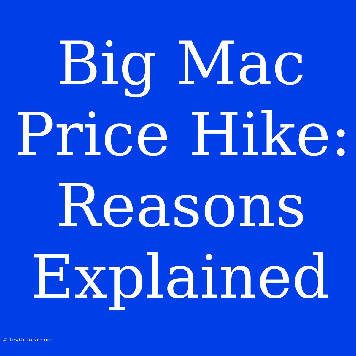 Big Mac Price Hike: Reasons Explained